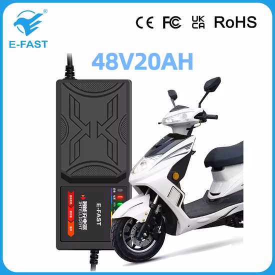 Popolare caricabatterie E-Fast per bici elettriche e scooter Caricabatterie al piombo 48V20ah