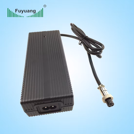 Caricabatterie automatico per bici elettrica 12V 24-36V certificato UL
